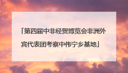 第四届中非经贸博览会非洲外宾代表团考察中伟宁乡基地