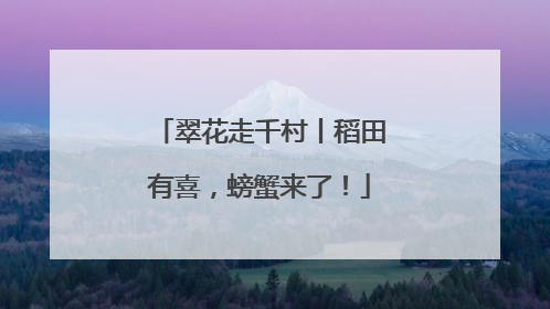 翠花走千村丨稻田有喜，螃蟹来了！