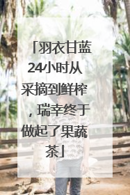 羽衣甘蓝24小时从采摘到鲜榨，瑞幸终于做起了果蔬茶