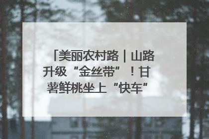 美丽农村路｜山路升级“金丝带”！甘薯鲜桃坐上“快车”，开去大市场