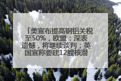 美宣布提高钢铝关税至50%，欧盟：深表遗憾，将继续谈判；英国宣称要建12艘核潜艇；马斯克最新发声：不想为美政府所做的一切承担责任丨早报