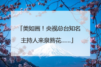 美如画！央视总台知名主持人来泉簪花……