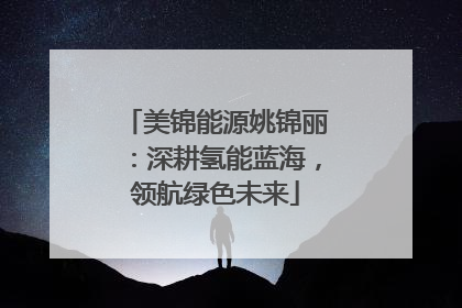 美锦能源姚锦丽：深耕氢能蓝海，领航绿色未来