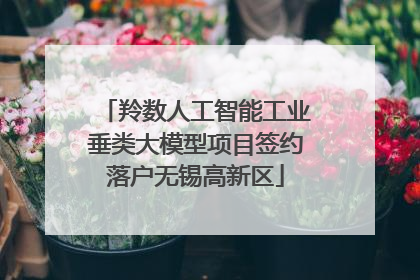 羚数人工智能工业垂类大模型项目签约落户无锡高新区