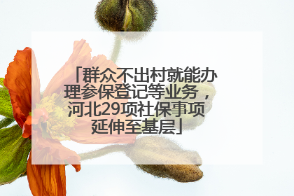 群众不出村就能办理参保登记等业务，河北29项社保事项延伸至基层