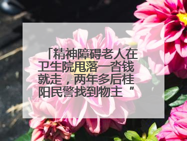 精神障碍老人在卫生院甩落一沓钱就走，两年多后桂阳民警找到物主“完璧归赵”