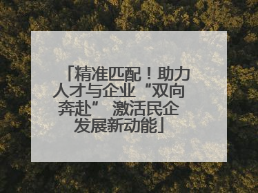 精准匹配！助力人才与企业“双向奔赴” 激活民企发展新动能