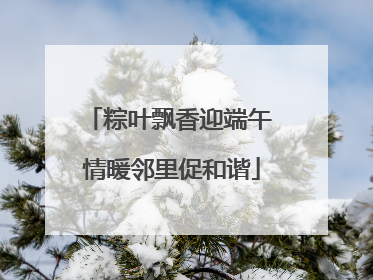 粽叶飘香迎端午 情暖邻里促和谐