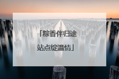 粽香伴归途 站点绽温情