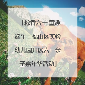 粽香六一·童趣端午：福山区实验幼儿园开展六一亲子嘉年华活动