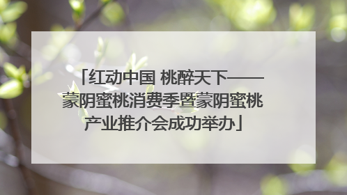 红动中国 桃醉天下——蒙阴蜜桃消费季暨蒙阴蜜桃产业推介会成功举办