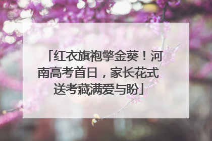 红衣旗袍擎金葵！河南高考首日，家长花式送考藏满爱与盼