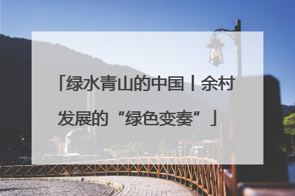 绿水青山的中国丨余村发展的“绿色变奏”