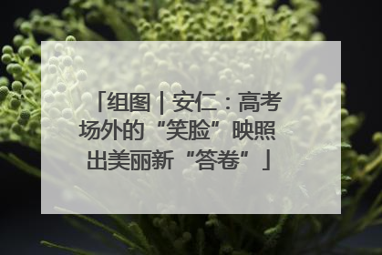 组图｜安仁：高考场外的“笑脸”映照出美丽新“答卷”
