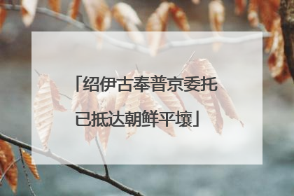 绍伊古奉普京委托已抵达朝鲜平壤