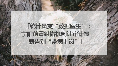 统计员变“数据医生”：宁阳前置纠错机制让审计报表告别“带病上岗”