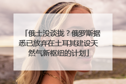 俄土没谈拢？俄罗斯据悉已放弃在土耳其建设天然气新枢纽的计划