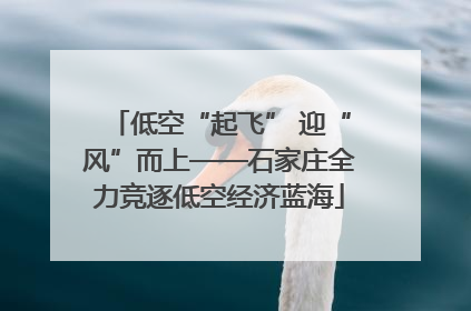 低空“起飞” 迎“风”而上——石家庄全力竞逐低空经济蓝海
