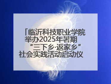 临沂科技职业学院举办2025年暑期“三下乡·返家乡”社会实践活动启动仪式暨社会实践活动供需交流会
