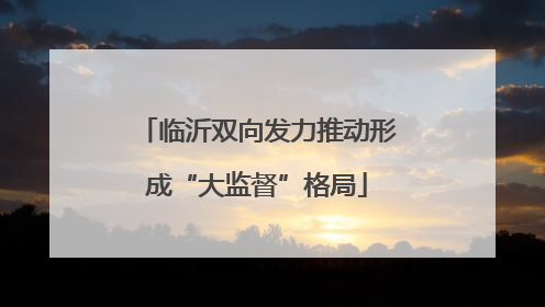 临沂双向发力推动形成“大监督”格局