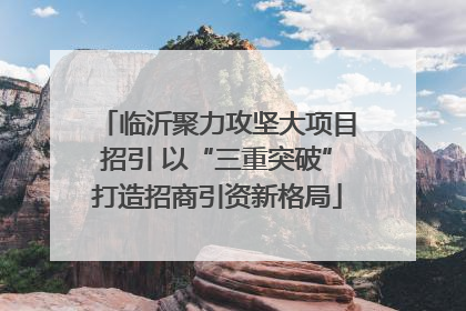 临沂聚力攻坚大项目招引 以“三重突破”打造招商引资新格局