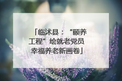 临沭县：“颐养工程”绘就老党员幸福养老新画卷