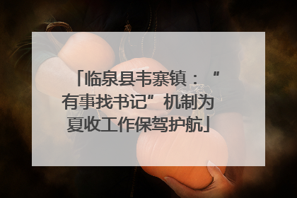 临泉县韦寨镇：“有事找书记”机制为夏收工作保驾护航