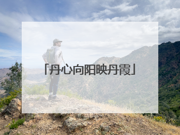 丹心向阳映丹霞