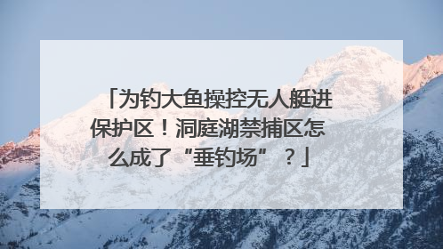 为钓大鱼操控无人艇进保护区！洞庭湖禁捕区怎么成了“垂钓场”？
