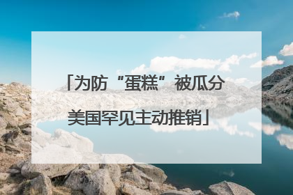为防“蛋糕”被瓜分 美国罕见主动推销