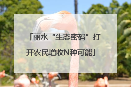 丽水“生态密码”打开农民增收N种可能