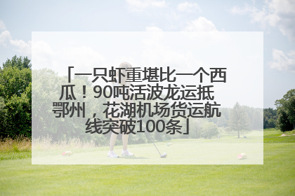 一只虾重堪比一个西瓜！90吨活波龙运抵鄂州，花湖机场货运航线突破100条