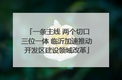 一条主线 两个切口 三位一体 临沂加速推动开发区建设领域改革