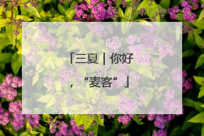 三夏｜你好，“麦客”