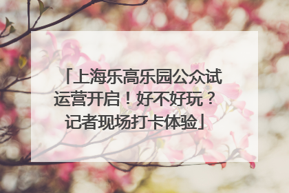 上海乐高乐园公众试运营开启！好不好玩？记者现场打卡体验