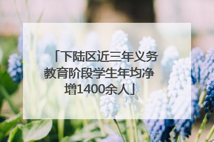 下陆区近三年义务教育阶段学生年均净增1400余人