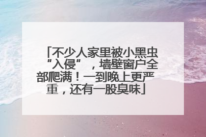 不少人家里被小黑虫“入侵”，墙壁窗户全部爬满！一到晚上更严重，还有一股臭味