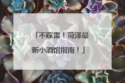 不踩雷！菏泽最新小酒馆指南！