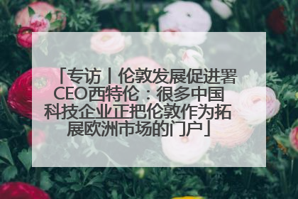 专访丨伦敦发展促进署CEO西特伦：很多中国科技企业正把伦敦作为拓展欧洲市场的门户