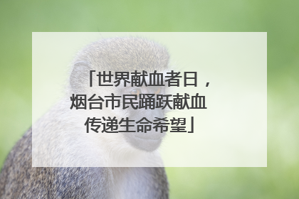 世界献血者日，烟台市民踊跃献血传递生命希望