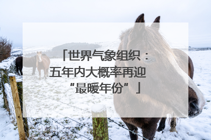 世界气象组织：五年内大概率再迎“最暖年份”