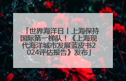世界海洋日丨上海保持国际第一梯队！《上海现代海洋城市发展蓝皮书2024评估报告》发布