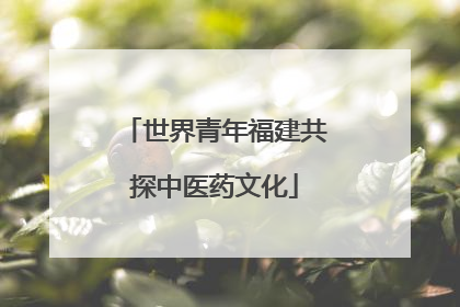 世界青年福建共探中医药文化
