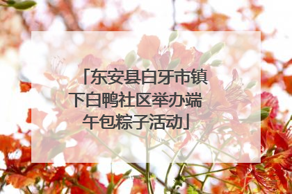 东安县白牙市镇下白鸭社区举办端午包粽子活动