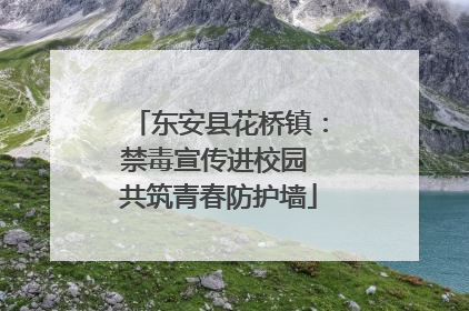 东安县花桥镇：禁毒宣传进校园 共筑青春防护墙
