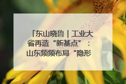 东山晓鲁｜工业大省再造“新基点”：山东频频布局“隐形冠军”背后