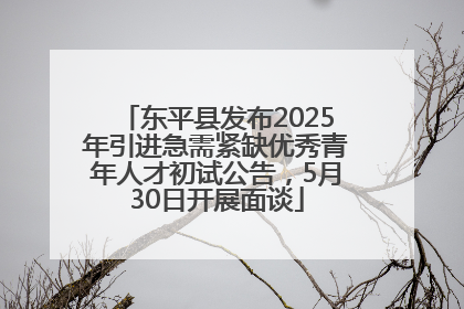 东平县发布2025年引进急需紧缺优秀青年人才初试公告，5月30日开展面谈