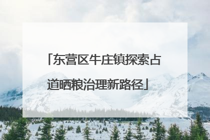 东营区牛庄镇探索占道晒粮治理新路径