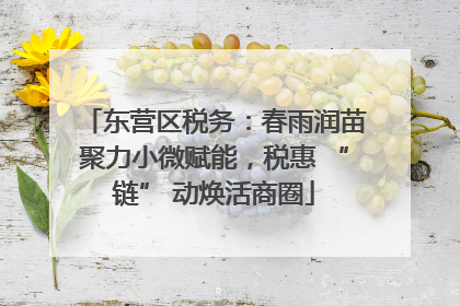 东营区税务：春雨润苗聚力小微赋能，税惠 “链” 动焕活商圈