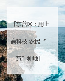 东营区：用上高科技 农民“慧”种地